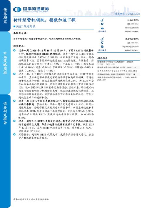 REIT策略周报：特许经营权领跌指数加速下探-251221（12页）.pdf
