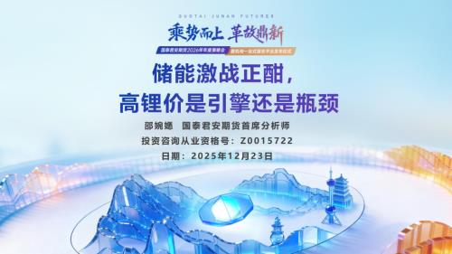 【国泰期货】储能激战正酣，高锂价是引擎还是瓶颈-251223（22页）.pdf