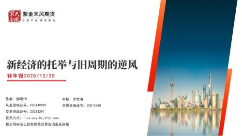 【紫金天风】锌年报：新经济的托举与旧周期的逆风-251225（50页）.pdf
