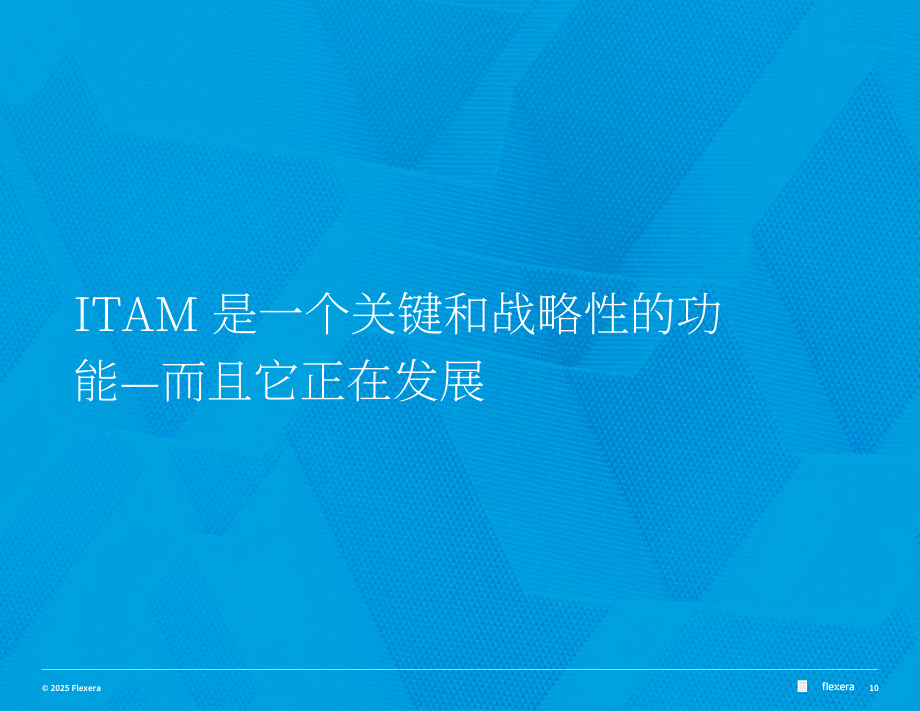 Flexera：2025年全球IT资产管理（ITAM ）状况报告（英文版）（76页）.pdf_第10页