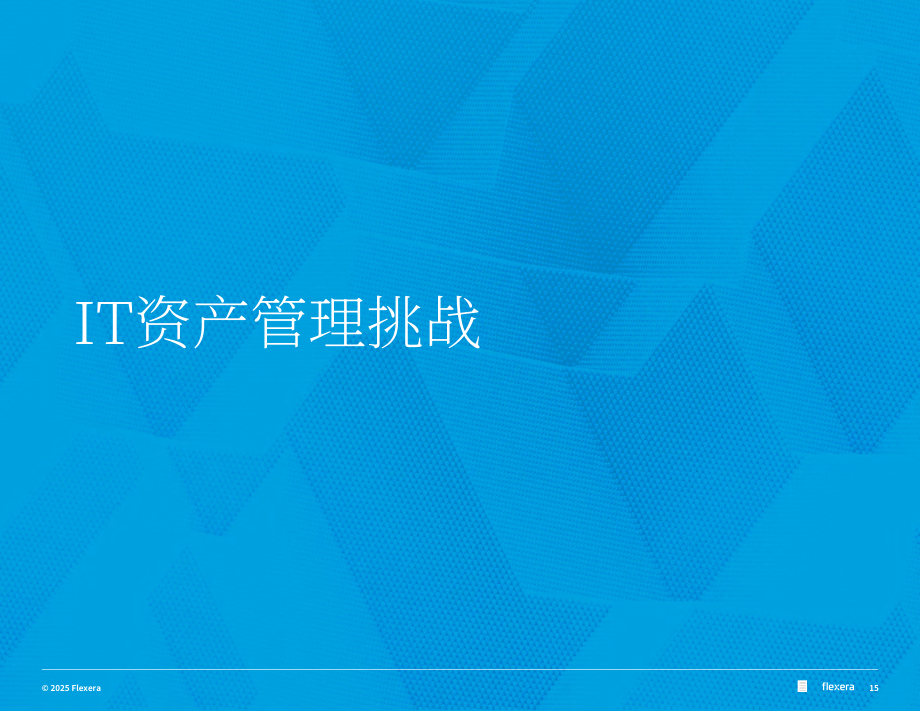 Flexera：2025年全球IT资产管理（ITAM ）状况报告（英文版）（76页）.pdf_第15页