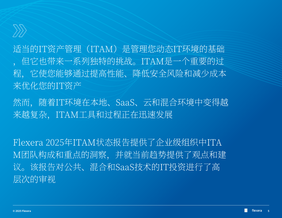 Flexera：2025年全球IT资产管理（ITAM ）状况报告（英文版）（76页）.pdf_第5页