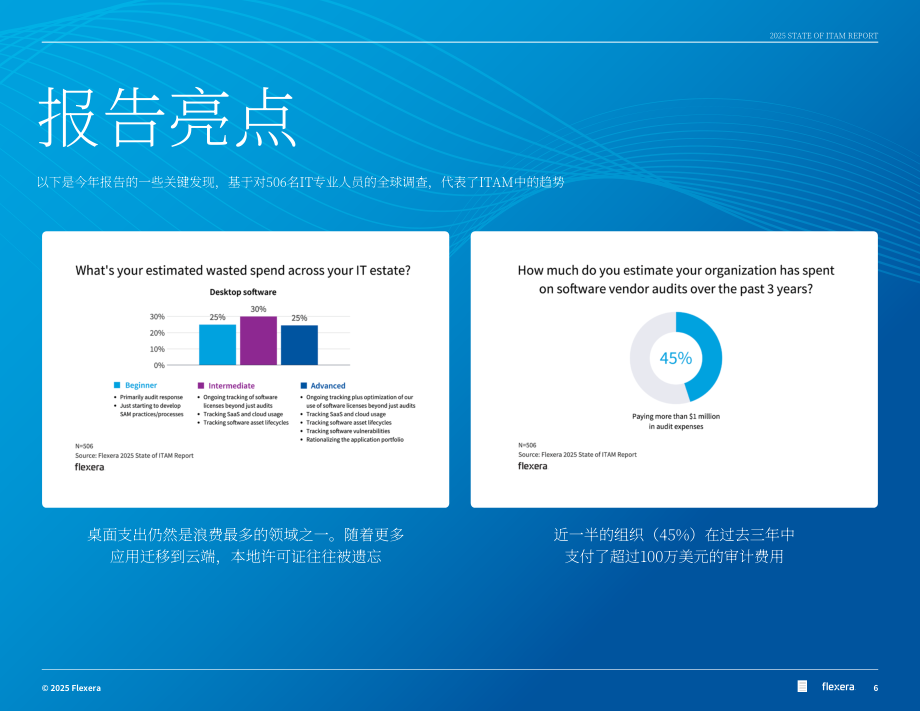 Flexera：2025年全球IT资产管理（ITAM ）状况报告（英文版）（76页）.pdf_第6页