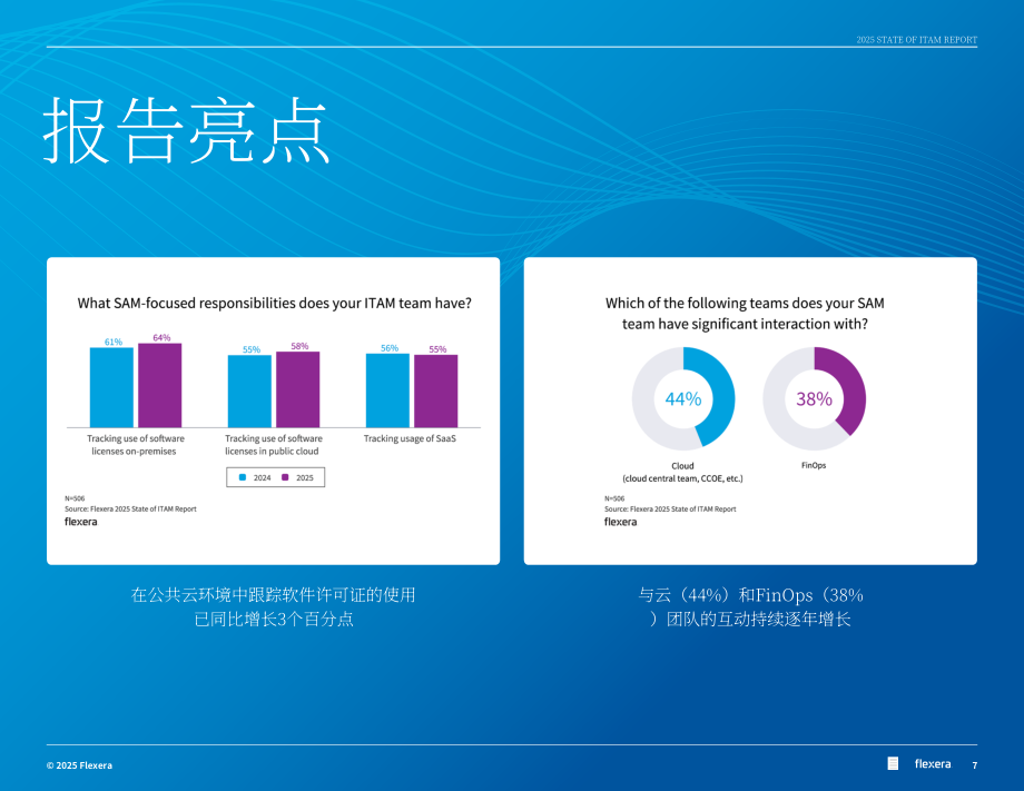 Flexera：2025年全球IT资产管理（ITAM ）状况报告（英文版）（76页）.pdf_第7页