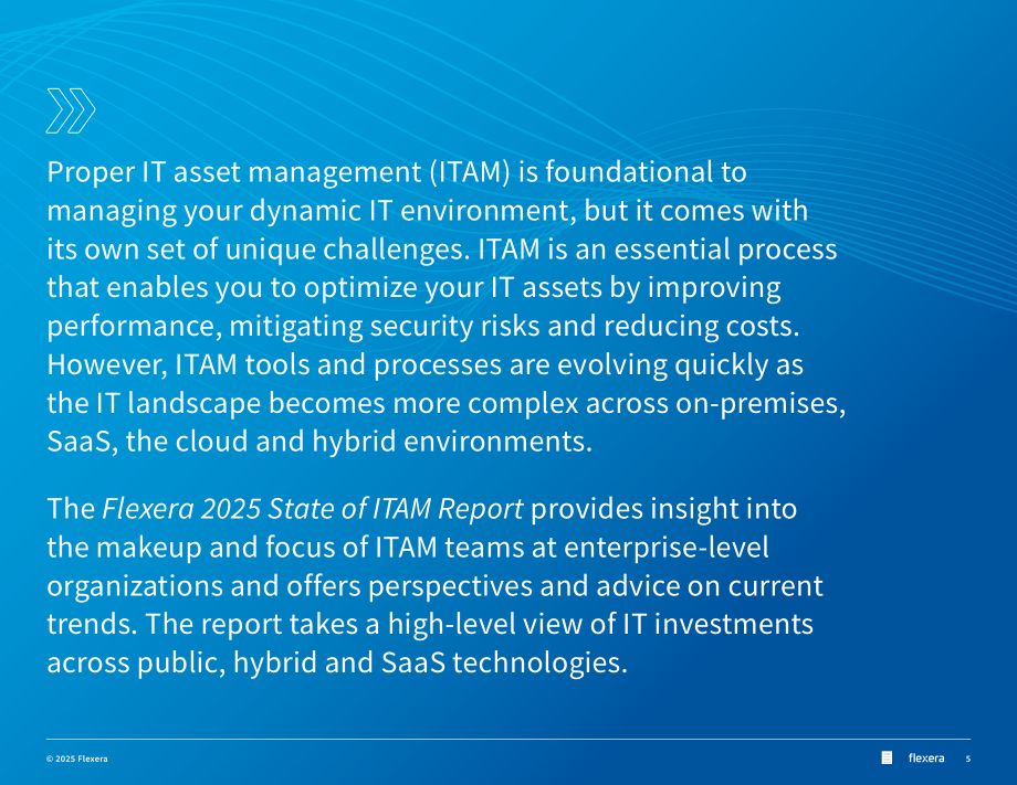 Flexera：2025年全球IT资产管理（ITAM ）状况报告（英文版）（76页）.pdf_第5页