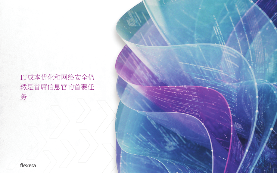 Flexera：2026年IT行业战略重点报告：塑造未来IT格局的当下关键举措（英文版）（48页）.pdf_第12页