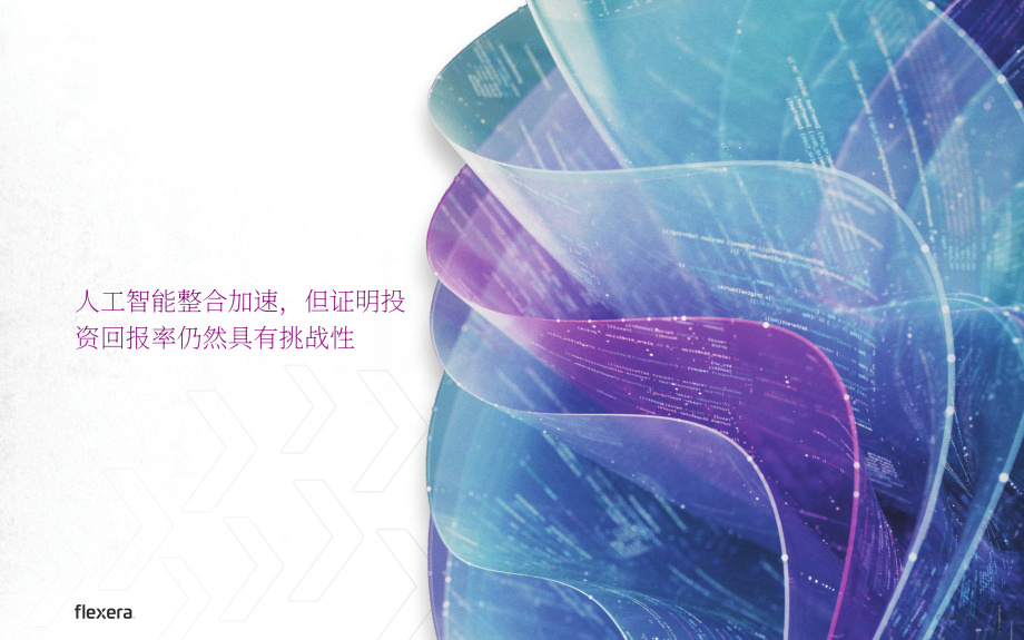 Flexera：2026年IT行业战略重点报告：塑造未来IT格局的当下关键举措（英文版）（48页）.pdf_第7页