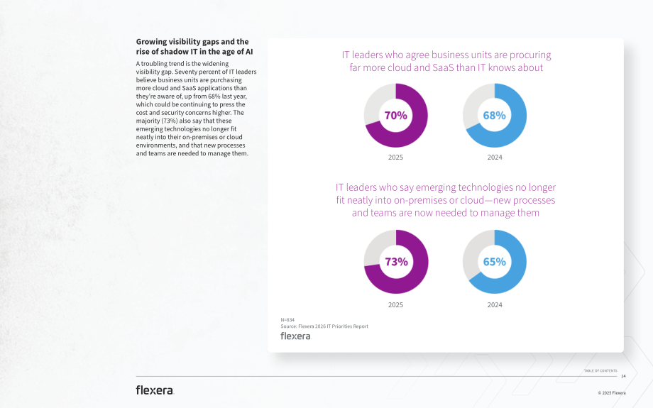 Flexera：2026年IT行业战略重点报告：塑造未来IT格局的当下关键举措（英文版）（48页）.pdf_第14页