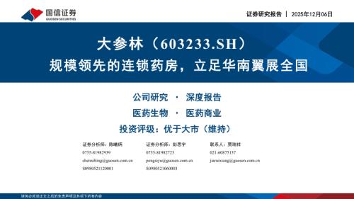 大参林（603233）-A股公司研究报告：规模领先的连锁药房立足华南翼展全国-251206（40页）.pdf