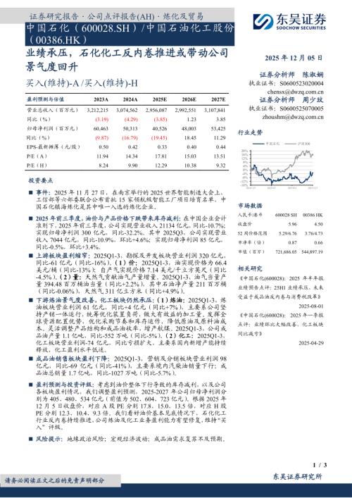 【东吴证券】中国石化（600028）-业绩承压，石化化工反内卷推进或带动公司景气度回升-251205（3页）.pdf
