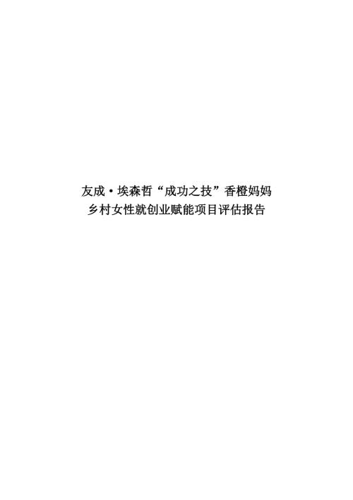 友成：友成埃森哲成功之技香橙妈妈乡村女性就创业赋能项目评估报告（27页）.pdf