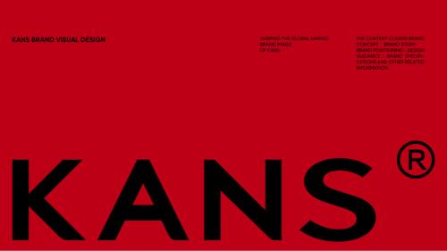 韩束：KANS护肤品牌视觉设计手册塑造全球统一品牌形象（36页）.pdf