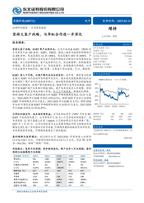 宏微科技-公司研究报告-坚持大客户战略与华虹合作进一步深化-250213（46页）.pdf