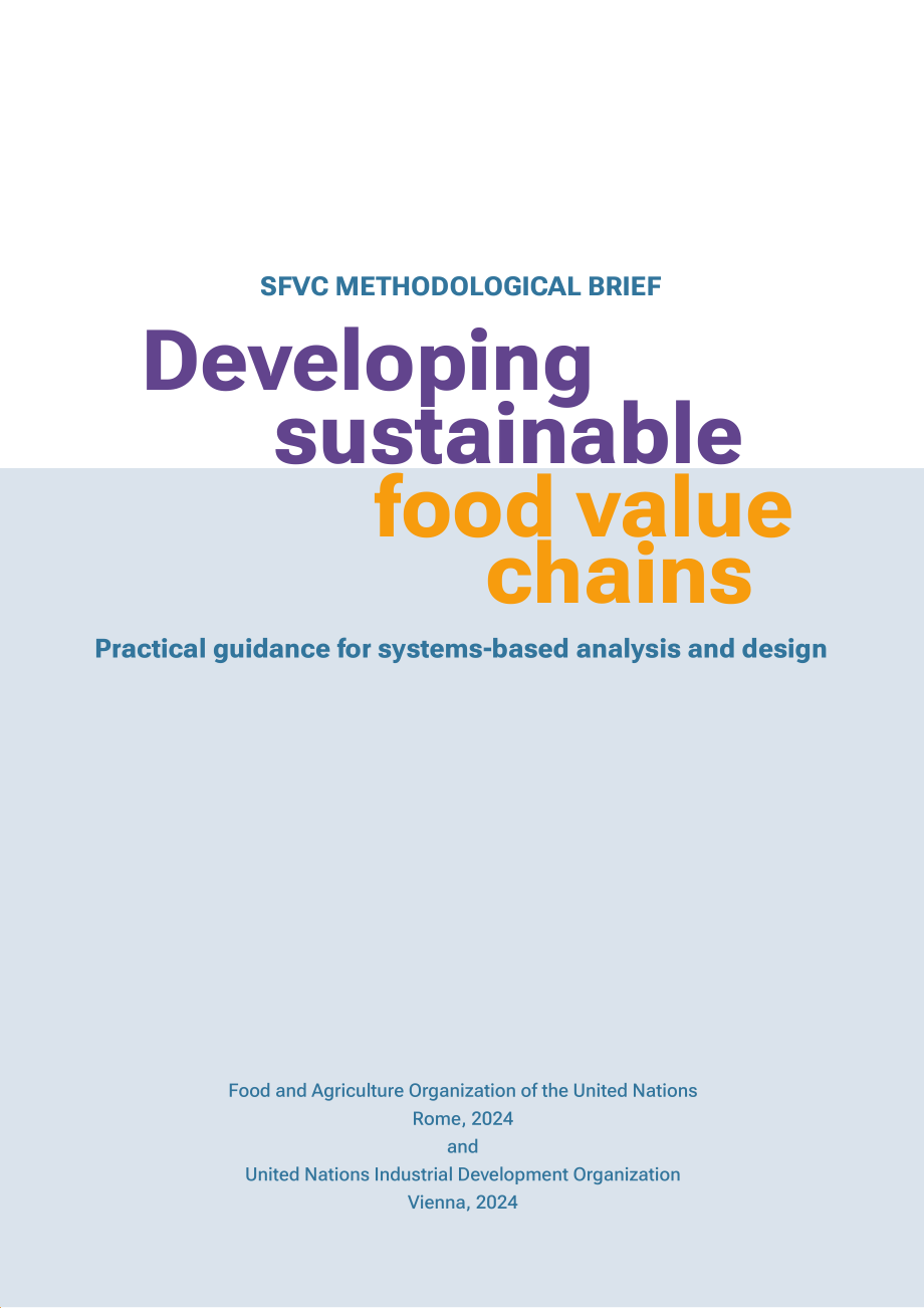 联合国工发组织：2024发展可持续食品价值链：基于系统分析与设计的实践指南（英文版）（40页）.pdf_第3页