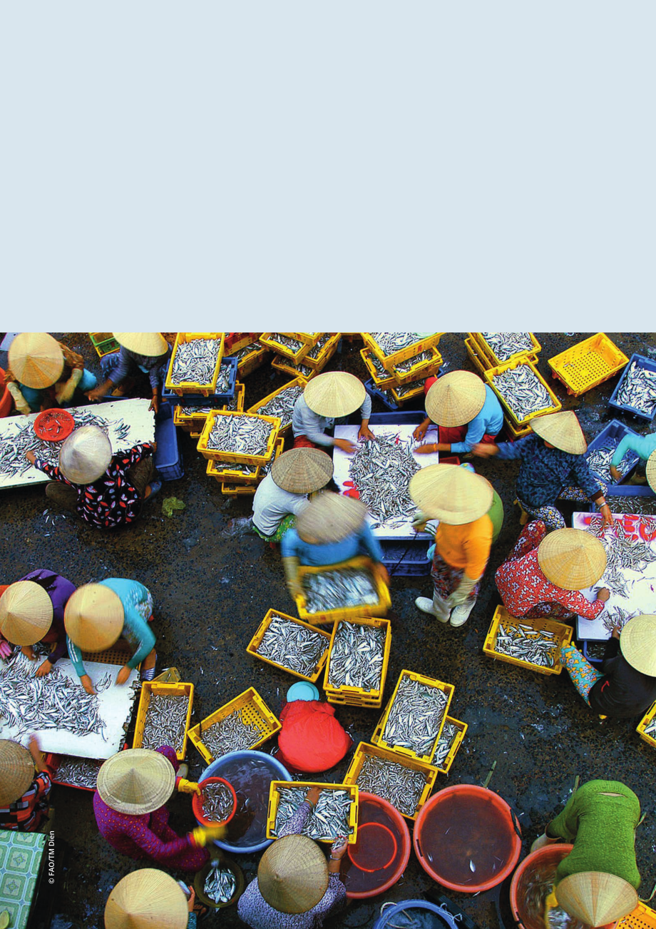 联合国工发组织：2024发展可持续食品价值链：基于系统分析与设计的实践指南（英文版）（40页）.pdf_第2页