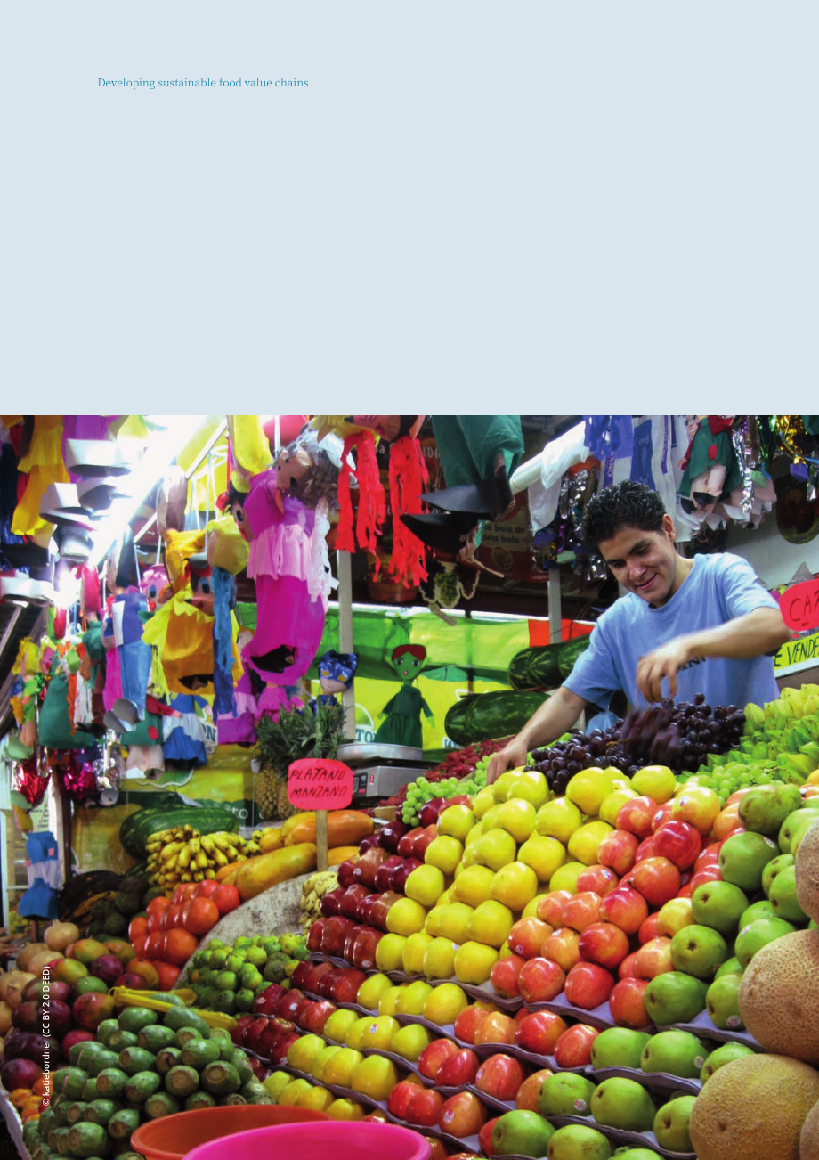 联合国工发组织：2024发展可持续食品价值链：基于系统分析与设计的实践指南（英文版）（40页）.pdf_第8页