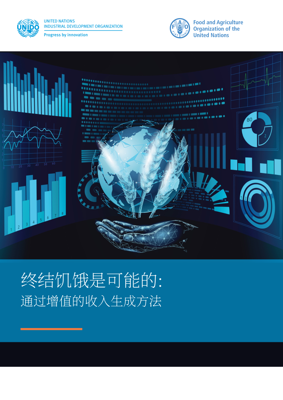 联合国工发组织：2024消除饥饿的可行之道：增值创收策略研究报告（英文版）（70页）.pdf_第1页