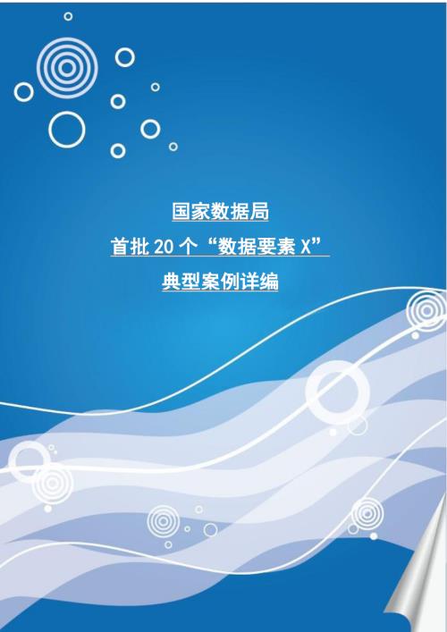 亮见数字城市：国家数据局首批20个数据要素X典型案例详编（65页）.pdf