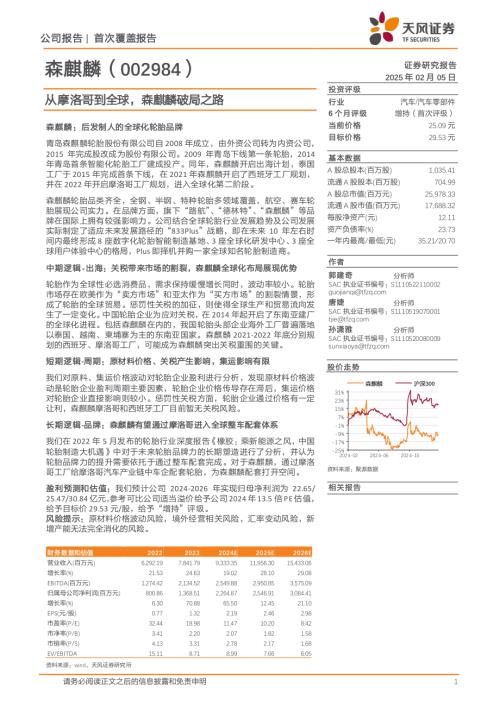 森麒麟-公司研究报告-从摩洛哥到全球森麒麟破局之路-250205（25页）.pdf