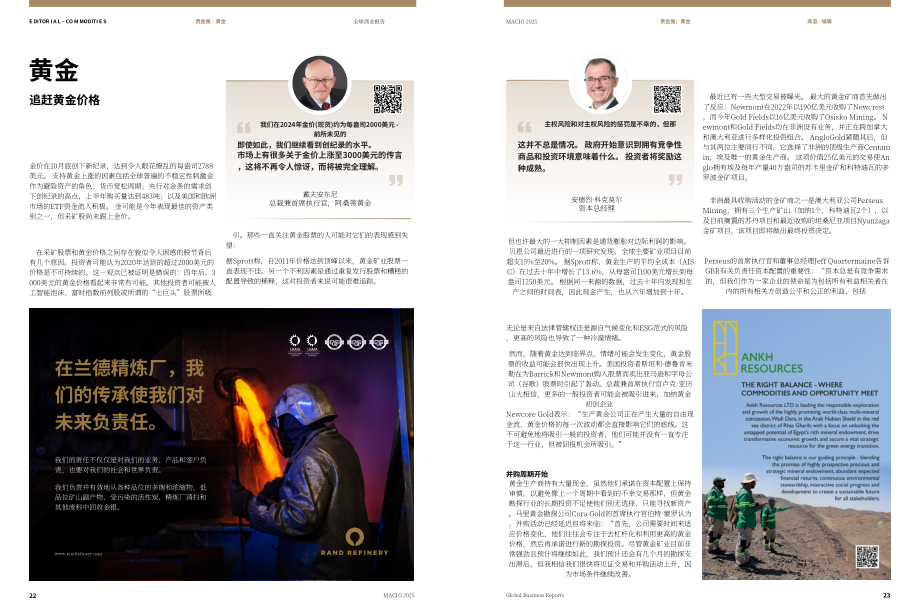 全球商业报告（GBR）：2025年非洲国家矿业投资指南（MACIG）（英文版）（63页）.pdf_第12页