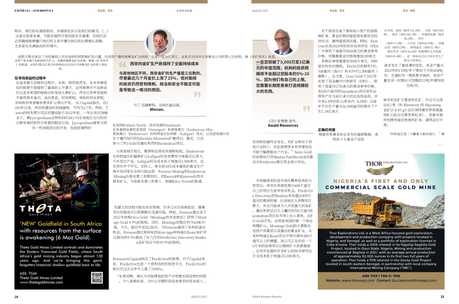 全球商业报告（GBR）：2025年非洲国家矿业投资指南（MACIG）（英文版）（63页）.pdf_第13页