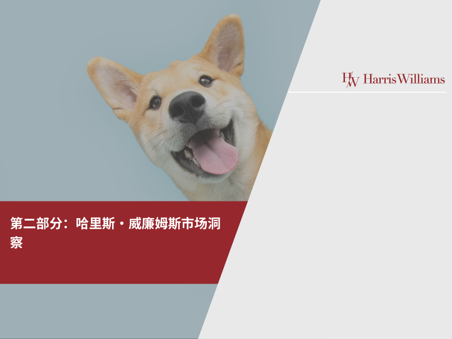 Harris Williams：2024全球宠物行业市场更新报告（英文版）（28页）.pdf_第12页