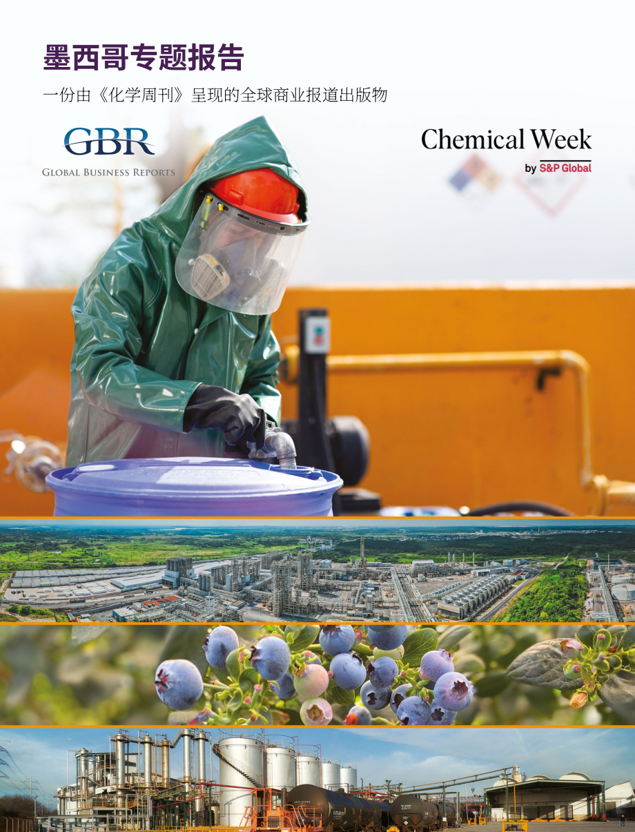 全球商业报告&Chemical Week：2025墨西哥化工行业报告（英文版）（11页）.pdf_第1页
