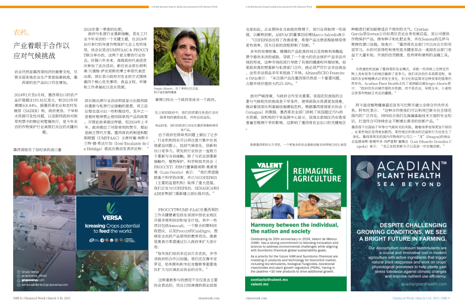 全球商业报告&Chemical Week：2025墨西哥化工行业报告（英文版）（11页）.pdf_第5页
