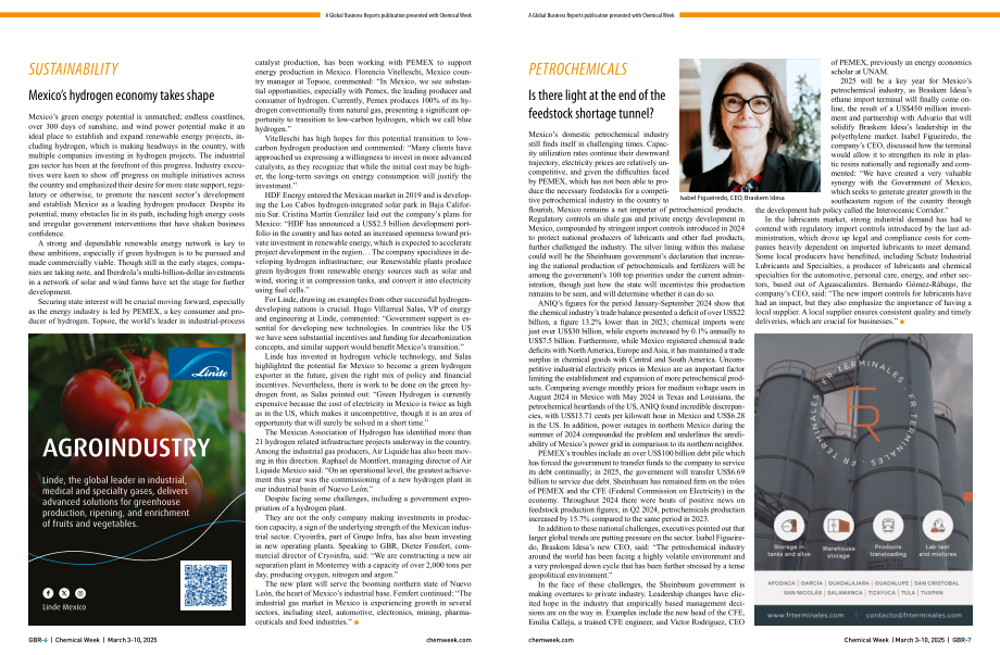 全球商业报告&Chemical Week：2025墨西哥化工行业报告（英文版）（11页）.pdf_第4页