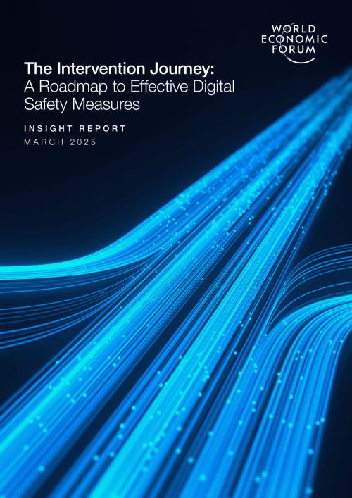 世界经济论坛（WEF）：2025数字安全干预之旅：系统化实施路线图（英文版）（45页）.pdf