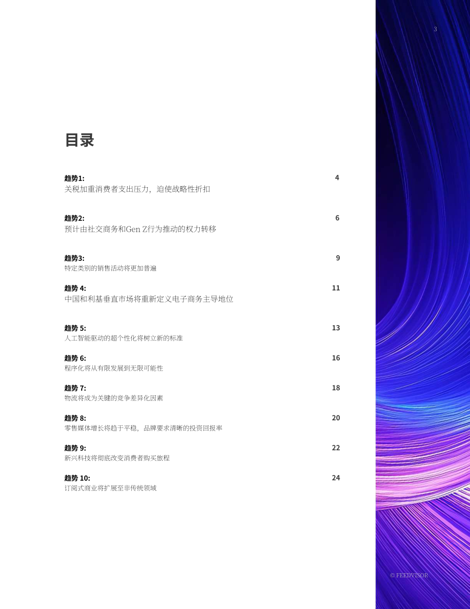 Feedvisor：2025年电子商务趋势与预测报告：十大关键趋势（英文版）（27页）.pdf_第3页