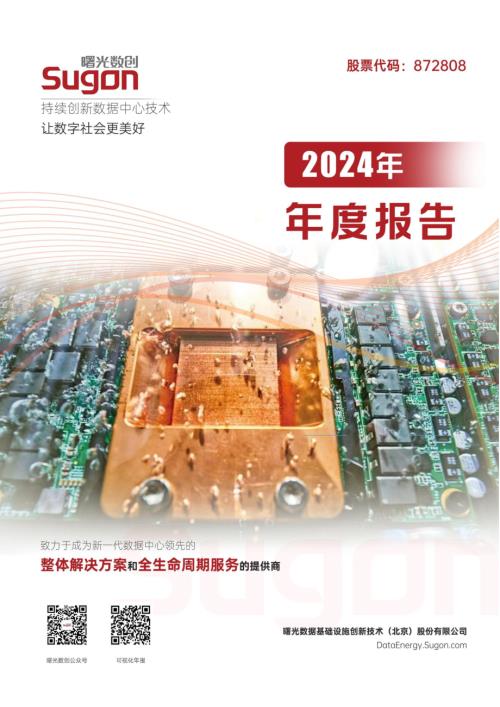 定期报告-曙光数创：2024年年度报告.pdf