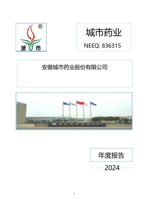 定期报告-城市药业：2024年年度报告.PDF