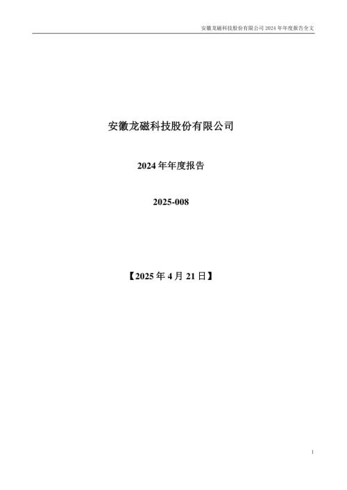 龙磁科技：2024年年度报告.PDF