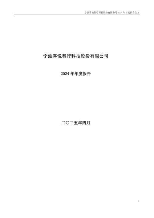 喜悦智行：2024年年度报告.PDF