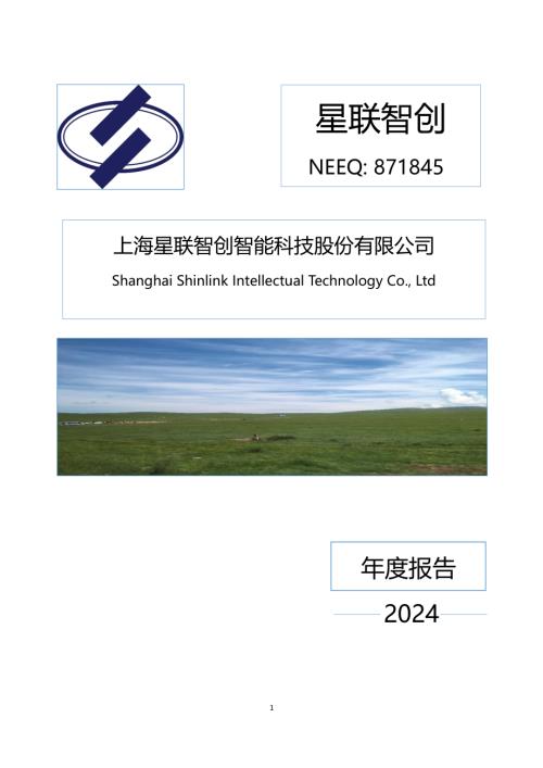 定期报告-星联智创：2024年年度报告.PDF