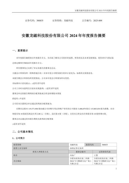 龙磁科技：2024年年度报告摘要.PDF