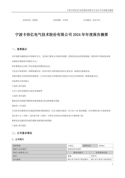 卡倍亿：2024年年度报告摘要.PDF
