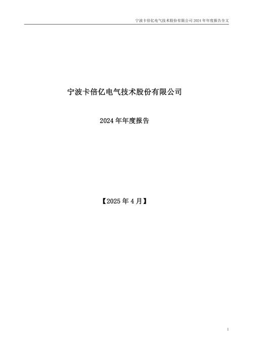 卡倍亿：2024年年度报告.PDF