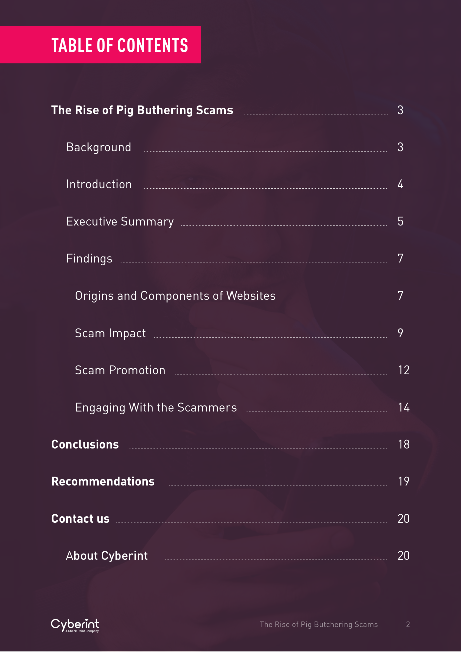 Cyberint ：2024全球“杀猪盘” 诈骗的兴起研究报告（英文版）（20页）.pdf_第2页