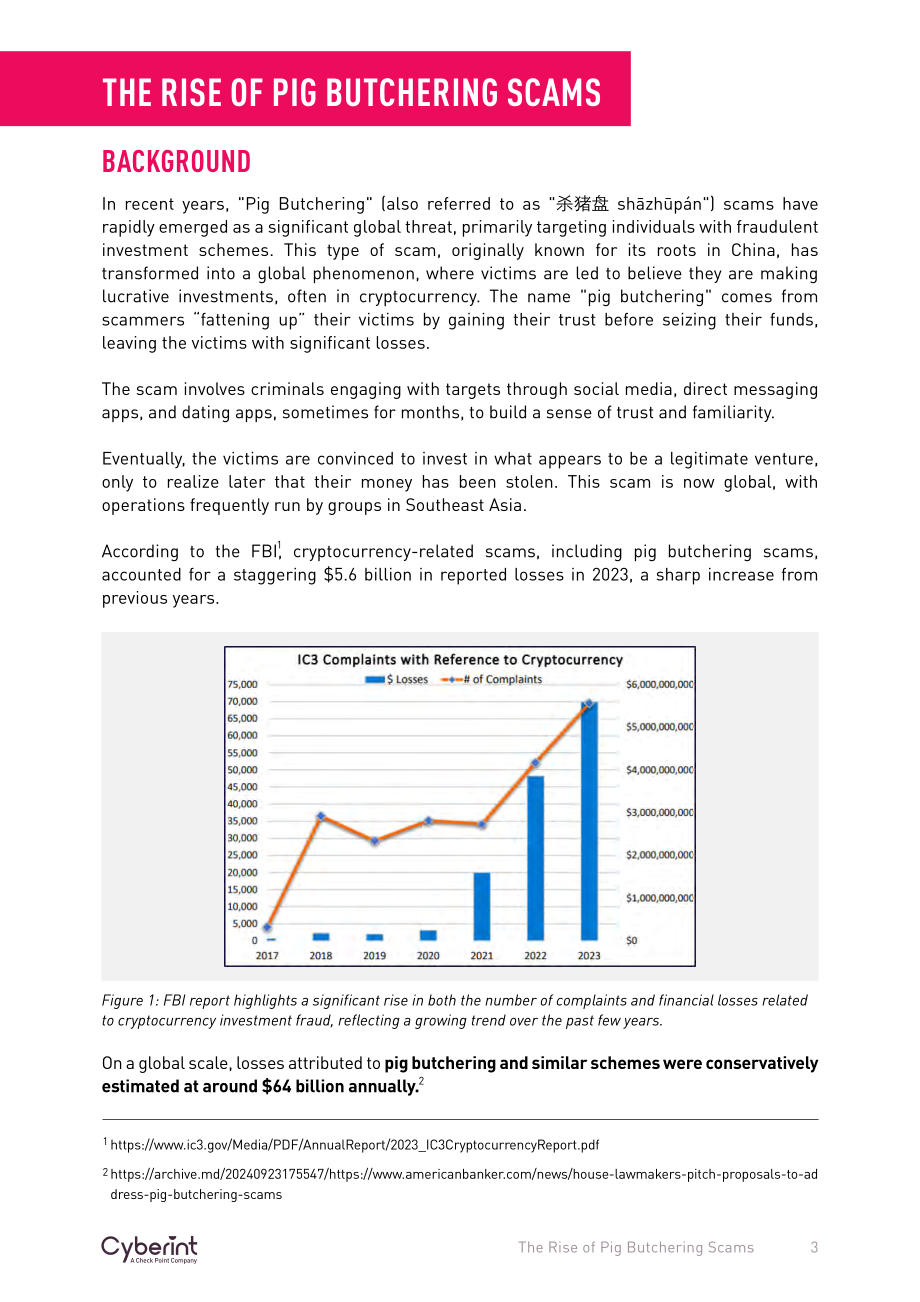 Cyberint ：2024全球“杀猪盘” 诈骗的兴起研究报告（英文版）（20页）.pdf_第3页
