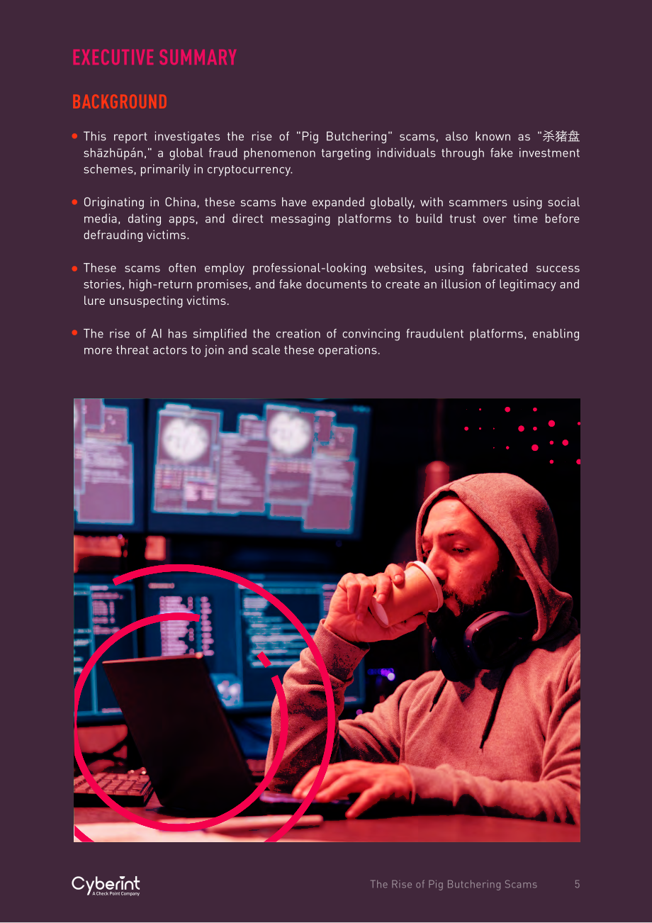 Cyberint ：2024全球“杀猪盘” 诈骗的兴起研究报告（英文版）（20页）.pdf_第5页