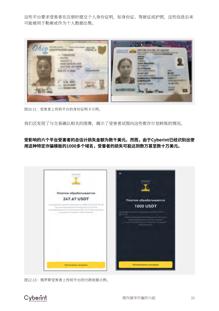 Cyberint ：2024全球“杀猪盘” 诈骗的兴起研究报告（英文版）（20页）.pdf_第10页