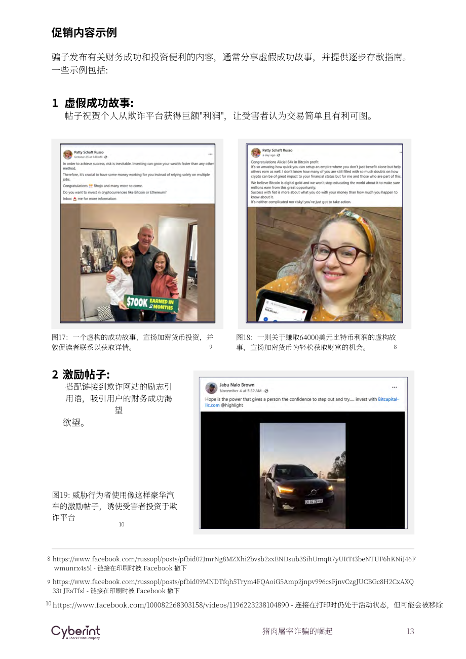 Cyberint ：2024全球“杀猪盘” 诈骗的兴起研究报告（英文版）（20页）.pdf_第13页