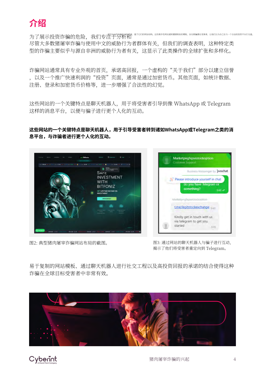 Cyberint ：2024全球“杀猪盘” 诈骗的兴起研究报告（英文版）（20页）.pdf_第4页