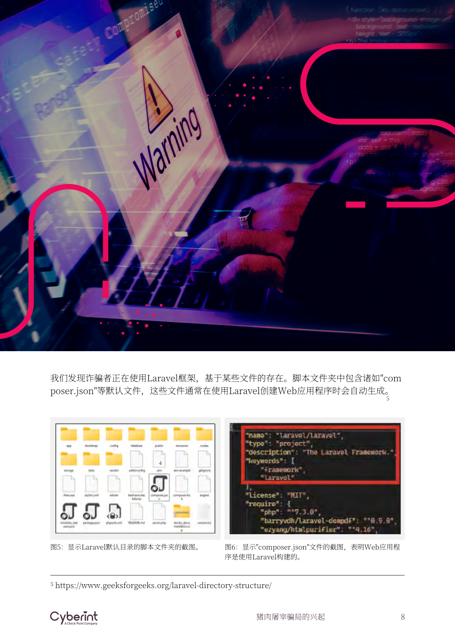 Cyberint ：2024全球“杀猪盘” 诈骗的兴起研究报告（英文版）（20页）.pdf_第8页