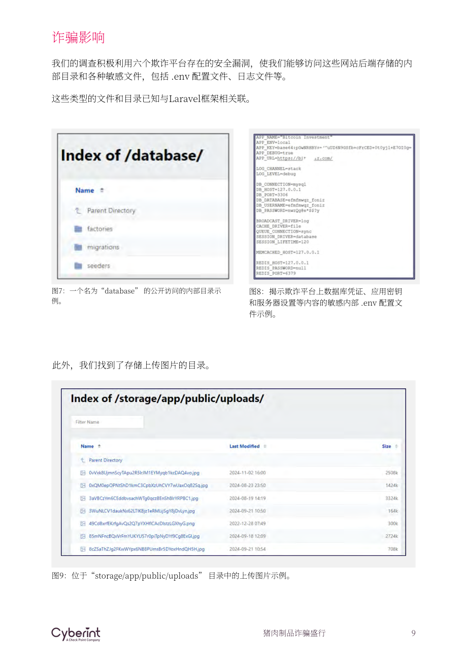 Cyberint ：2024全球“杀猪盘” 诈骗的兴起研究报告（英文版）（20页）.pdf_第9页