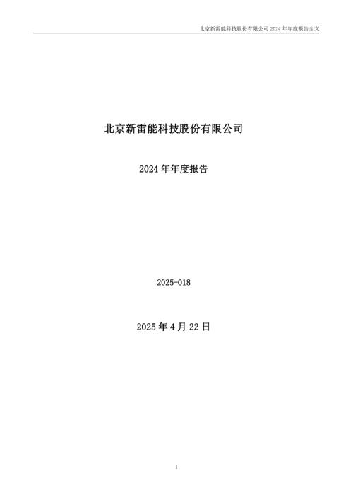 新雷能：2024年年度报告.PDF