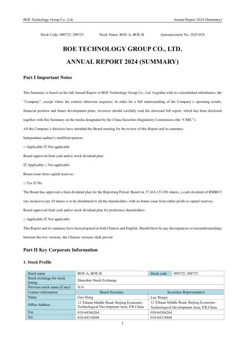 京东方Ｂ：2024年年度报告摘要（英文版）.PDF