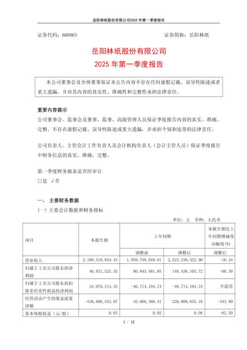 岳阳林纸：岳阳林纸股份有限公司2025年第一季度报告.pdf